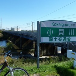 kokaigawa1107a.jpg