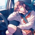 sleeping_lady_in_car.jpg